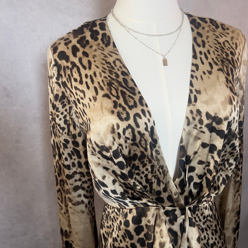Leopard Print V-Neck Mini Dress